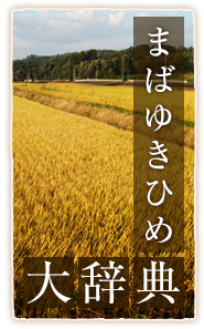 まばゆきひめ大辞典