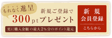 新規ご登録でポイントプレゼント