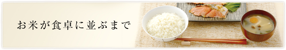 お米が食卓に並ぶまで