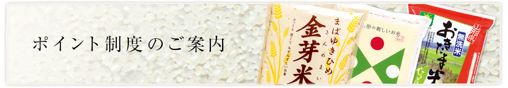 ポイント制度の案内