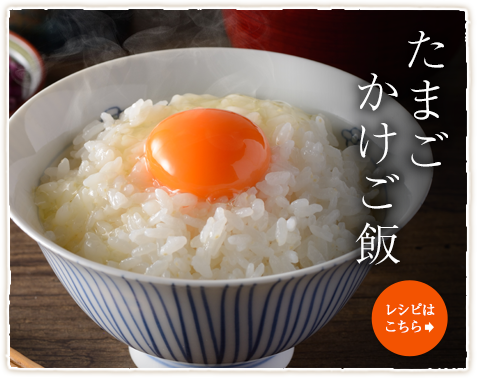 たまごかけご飯