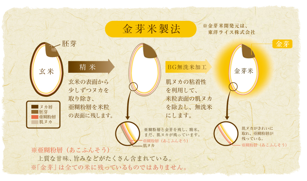 金芽米製法